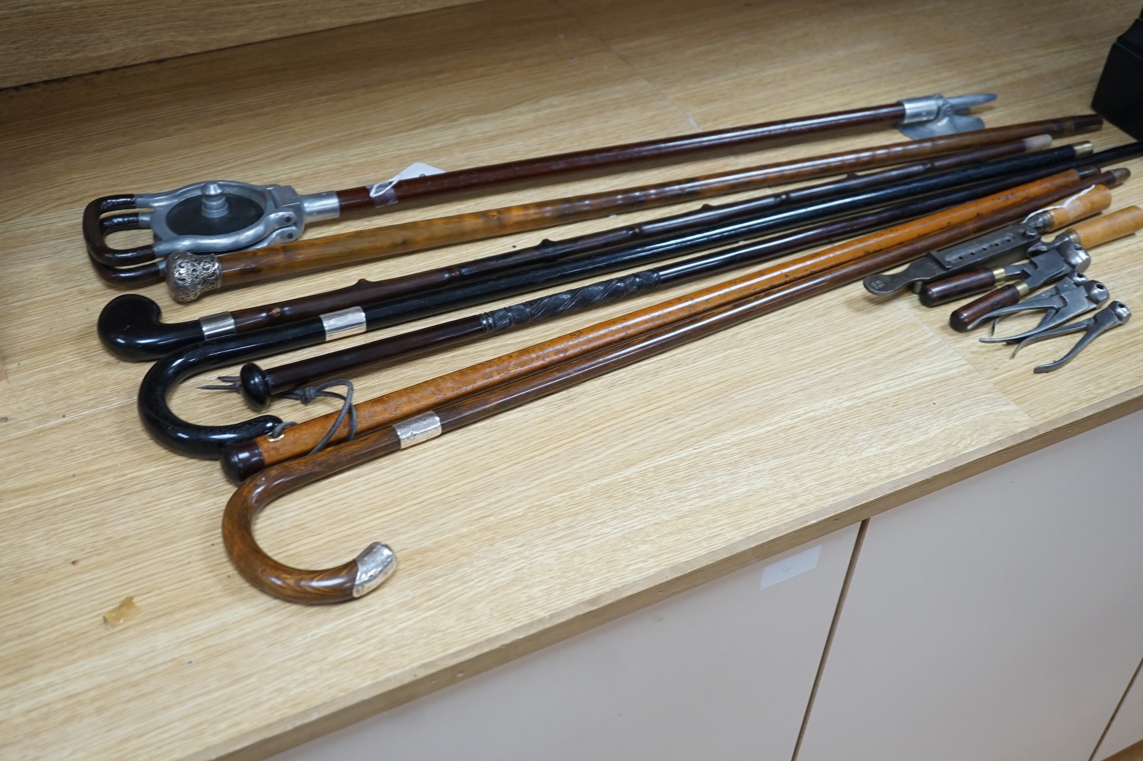 Four silver mounted walking canes, a malacca cane, a carved hardwood cane and a shooting stick (7)